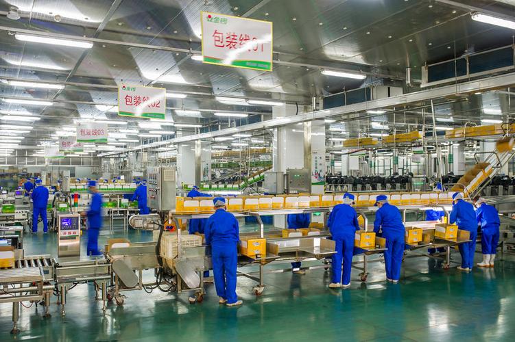 年屠宰加工生猪500万头,临沂兰山健康肉制品产值过百亿元